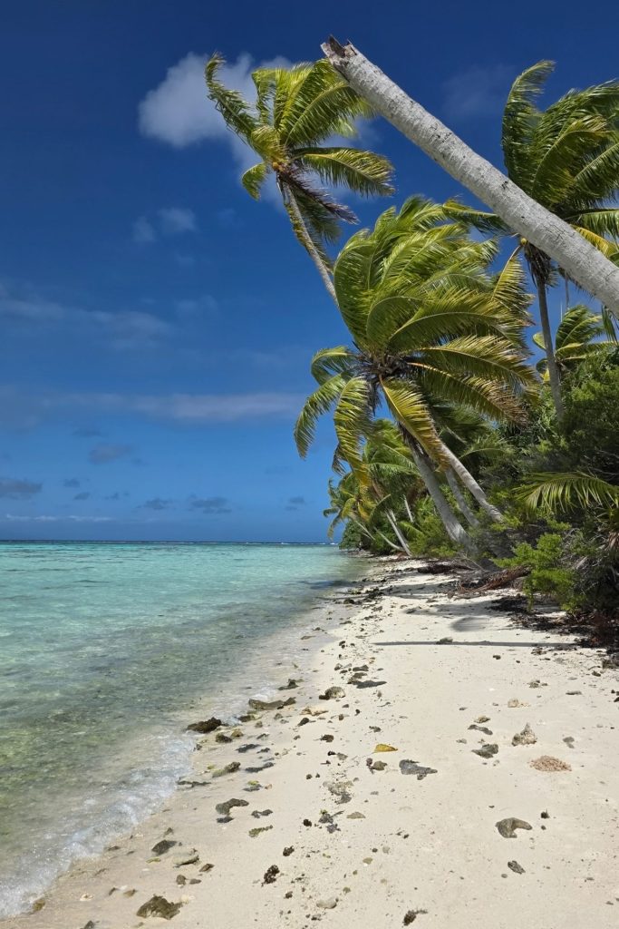 Palmier et mer bleu turquoise - Tetiaroa sur joliscarnets.net