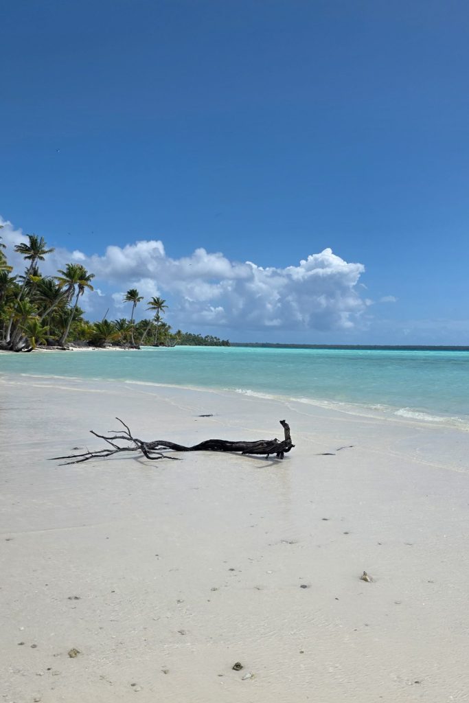 Bleu turquoise à Tetiaroa - l'île de Marlon Brando