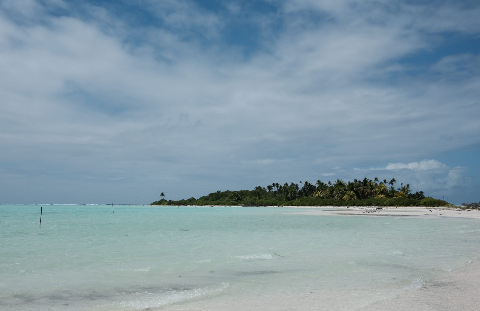 L'île aux oiseaux à Tetiaroa : journée en catamaran –&nbsp;joliscarnets.net