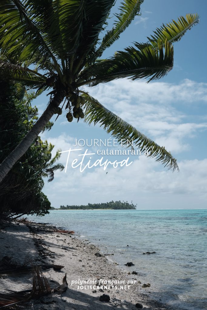 Polynésie Française : journée en catamaran à Tetiaroa