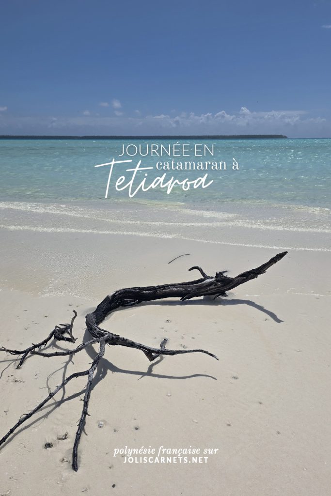 Tetiaroa : une journée en catamaran –&nbsp;Polynésie Française sur joliscarnet.net