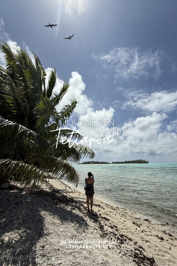 Palmiers et mer bleue à Tetiaroa
